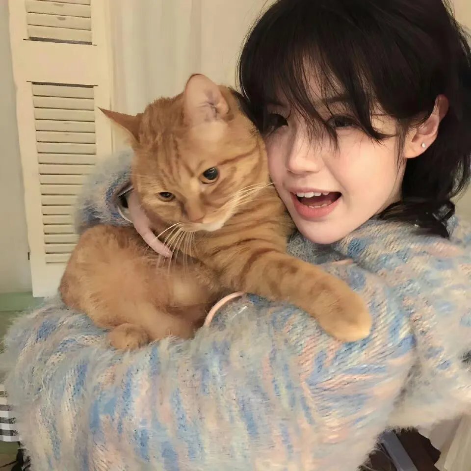 长翅膀的猪